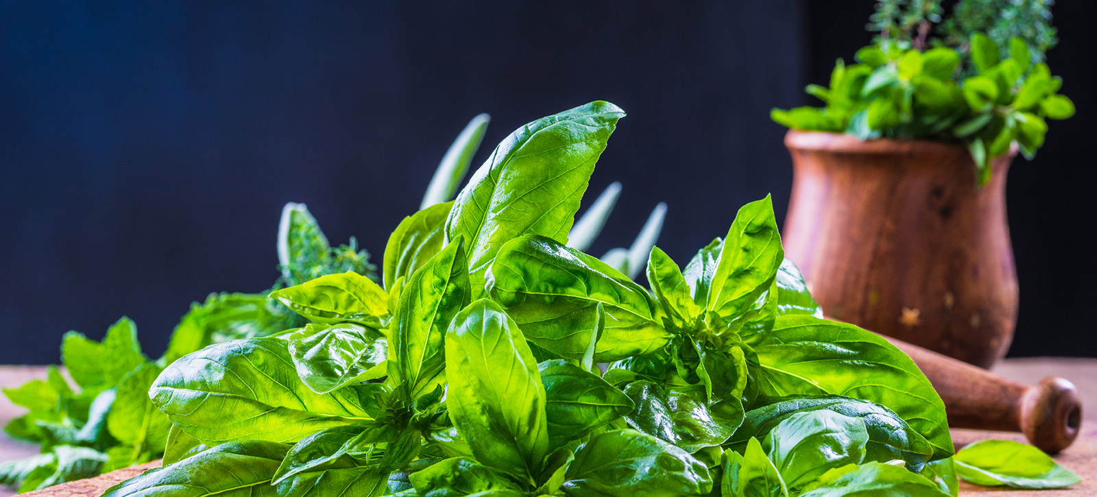 4 Herbs For Delicious Italian Cooking | Nonna Pia’s